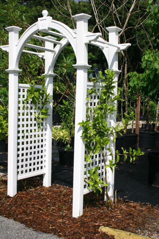 Arbor Installation in Alpharetta, GA