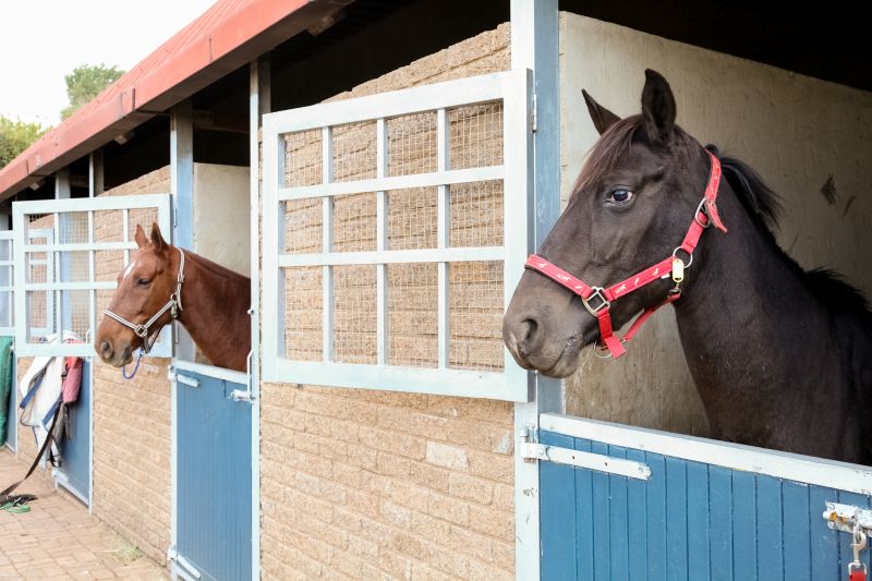 Horse Stall Repair in Conroe, TX
