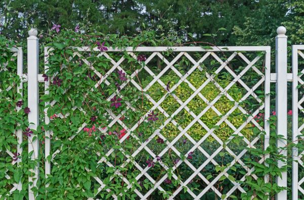Privacy Trellis Installation Service