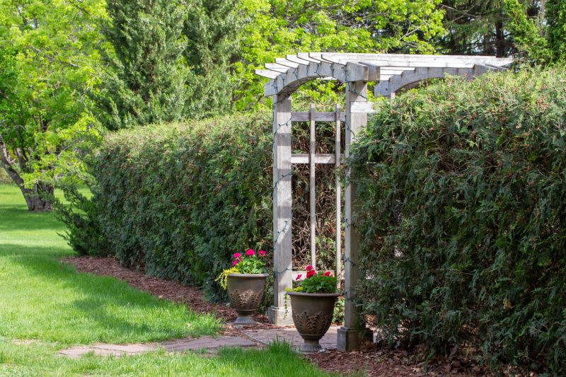 Arbor Replacement in Kansas City, KS