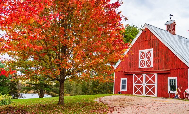 Barn Installation in Alpharetta, GA