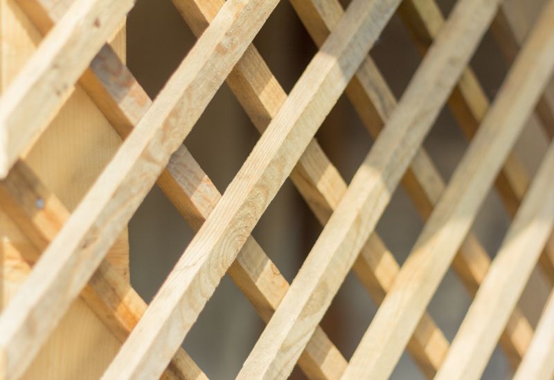 Fence Trellis Installation in Conroe, TX