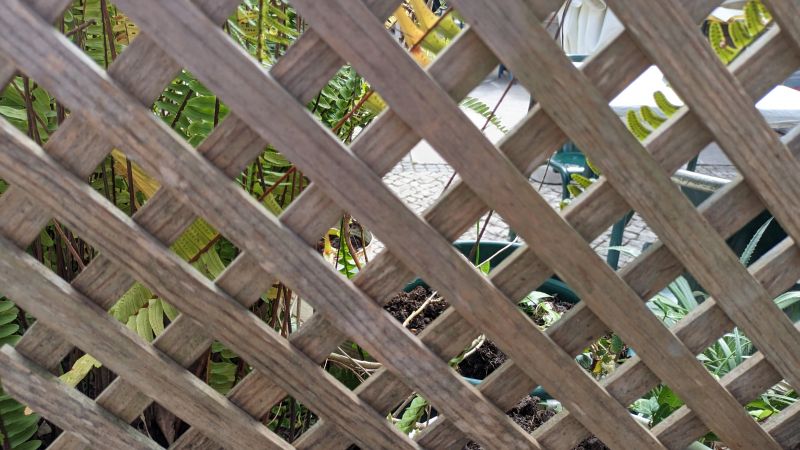 Garden Trellis Installation in Conroe, TX