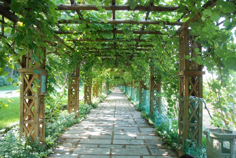 Garden Trellis Installation in Conroe, TX