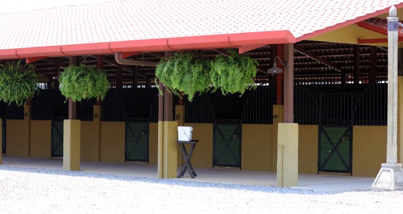 Horse Shelter Construction in Conroe, TX