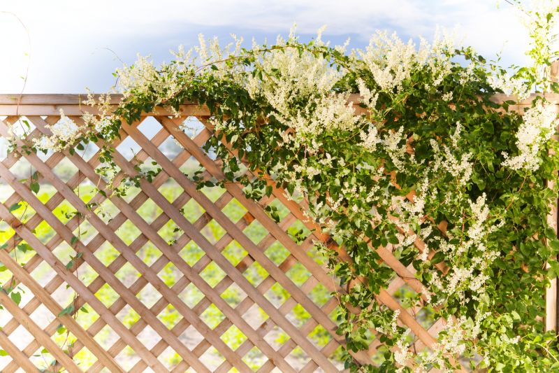 Rose Trellis Installation in Wilmington, NC