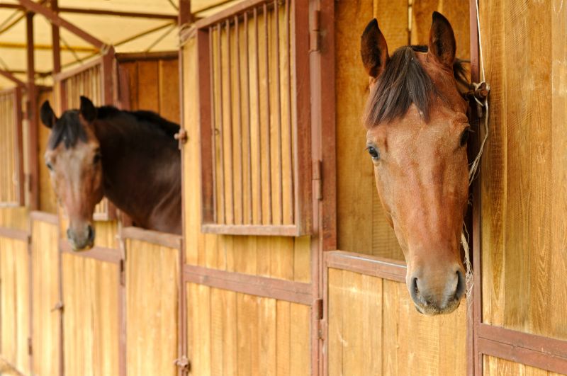Stable Repair in Wilmington, NC
